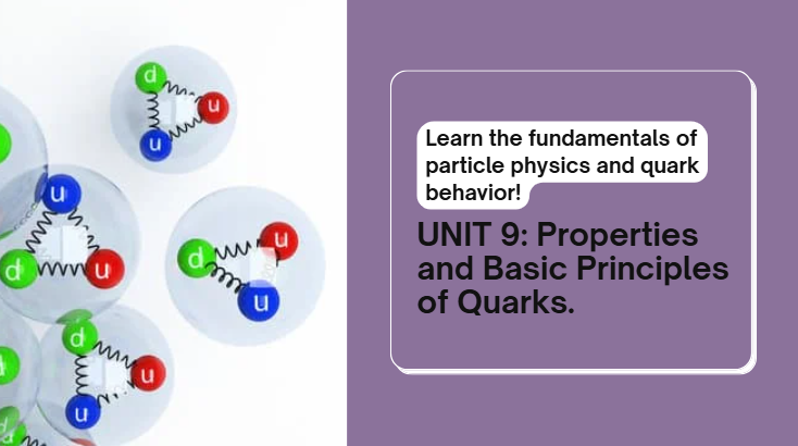 PHYSICS S6 UNIT 9: PROPERTIES AND BASIC PRINCIPLES OF QUARKS